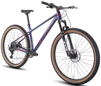 Превью  Велосипед HAGEN 3.9 29 (2025)